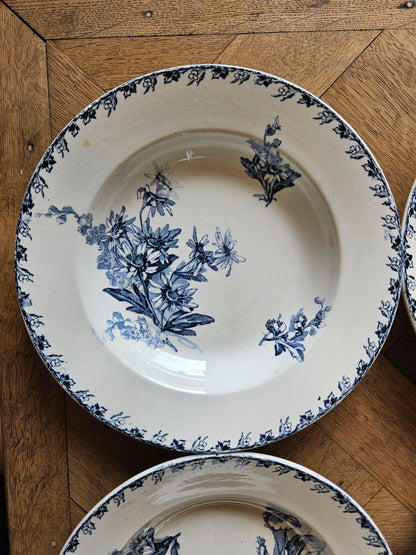 Assiettes creuses U&C Sarreguemines, Stella