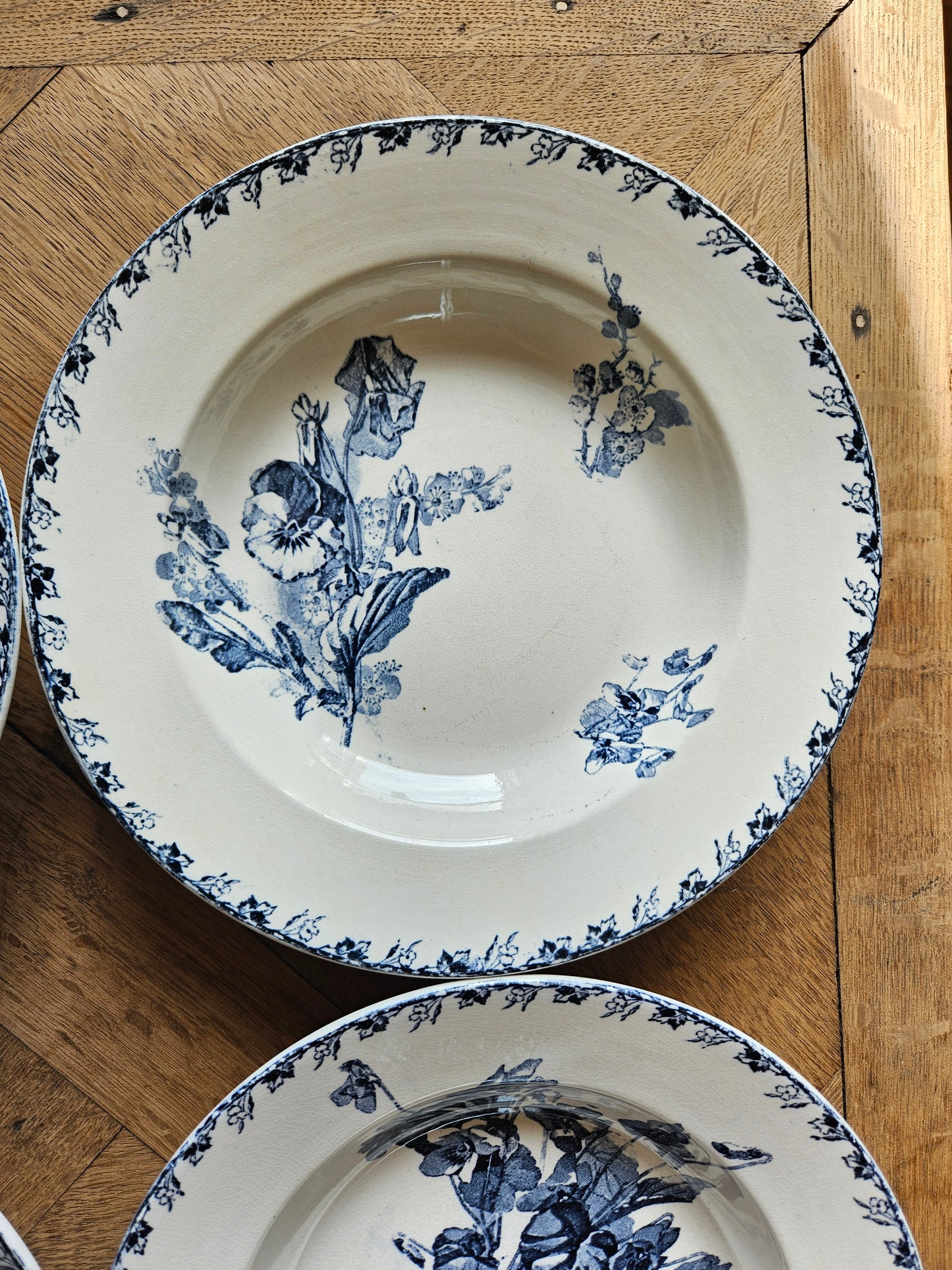 Assiettes creuses U&C Sarreguemines, Stella
