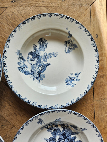 Assiettes creuses U&C Sarreguemines, Stella