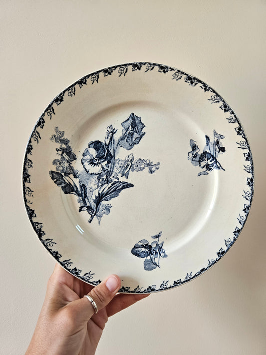 Assiettes plates U&C Sarreguemines, Stella