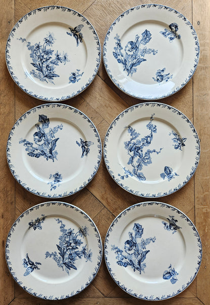Assiettes plates U&C Sarreguemines, Stella