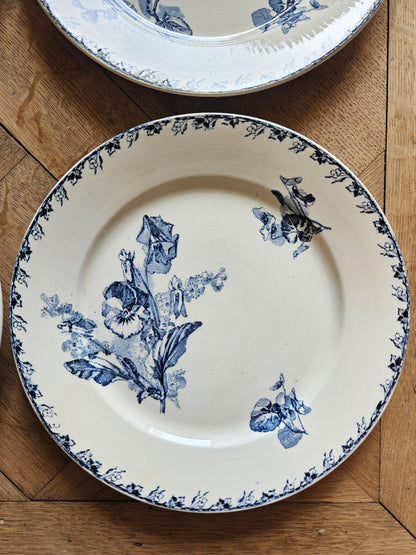 Assiettes plates U&C Sarreguemines, Stella