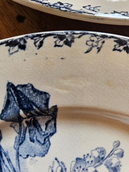 Assiettes plates U&C Sarreguemines, Stella