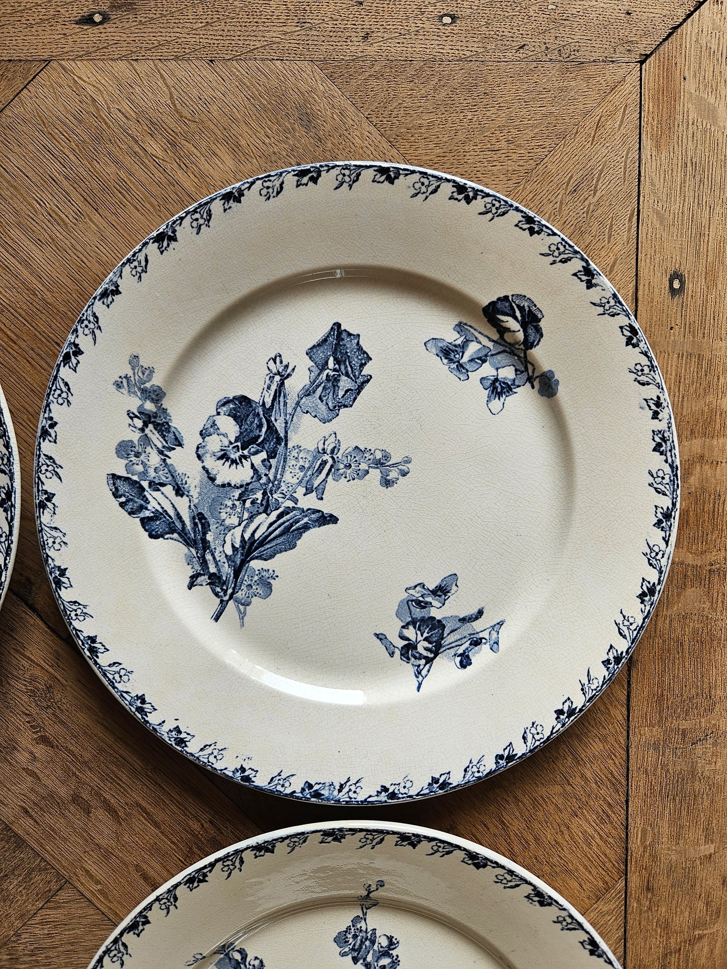 Assiettes plates U&C Sarreguemines, Stella