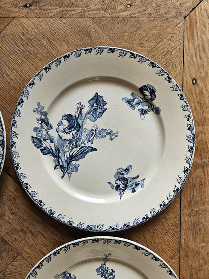 Assiettes plates U&C Sarreguemines, Stella