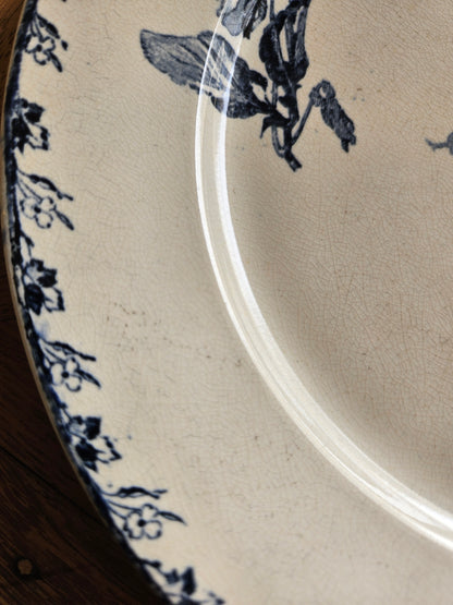Assiettes plates U&C Sarreguemines, Stella