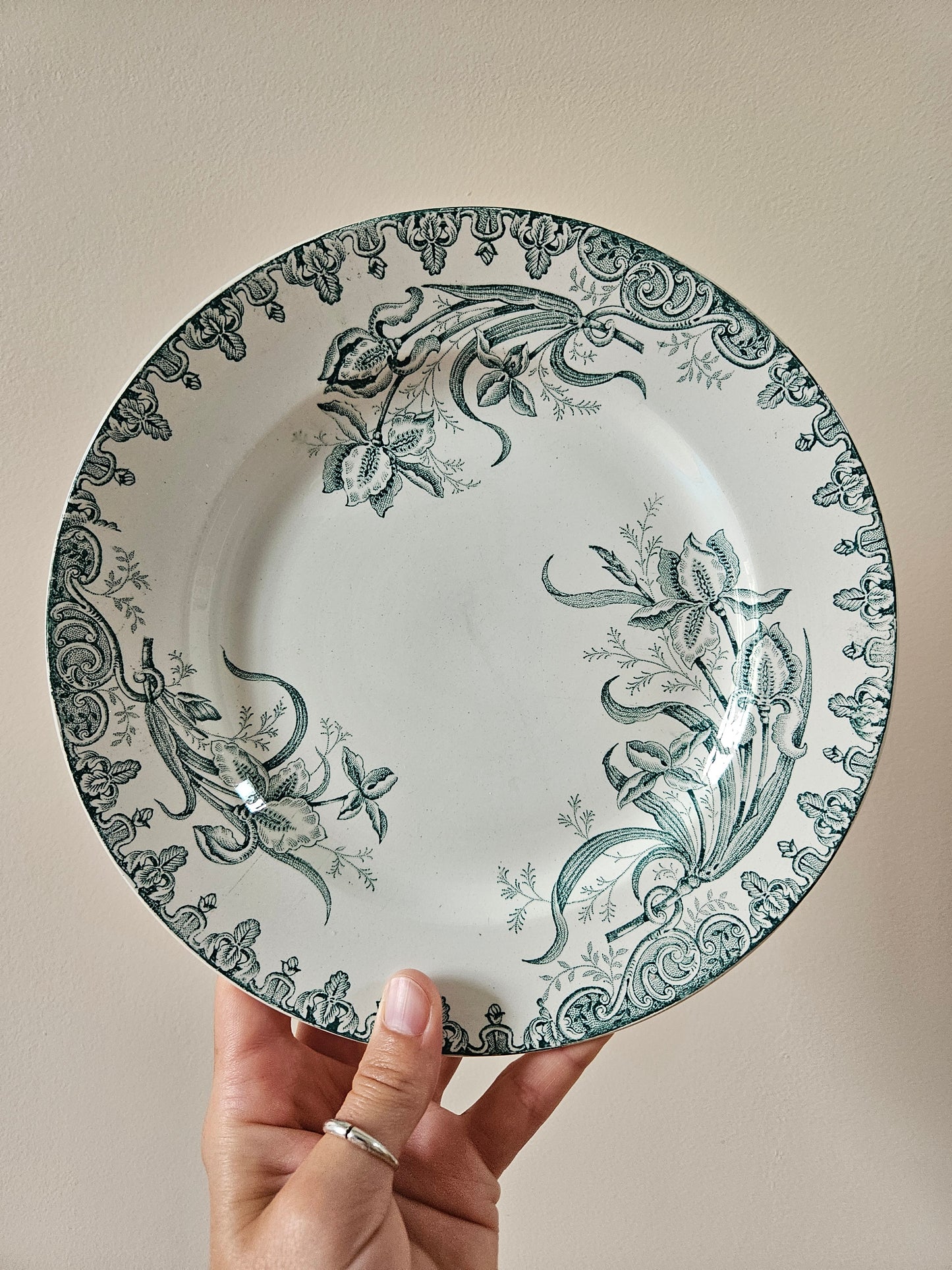 Assiette plate Sté Amandinoise, Iris