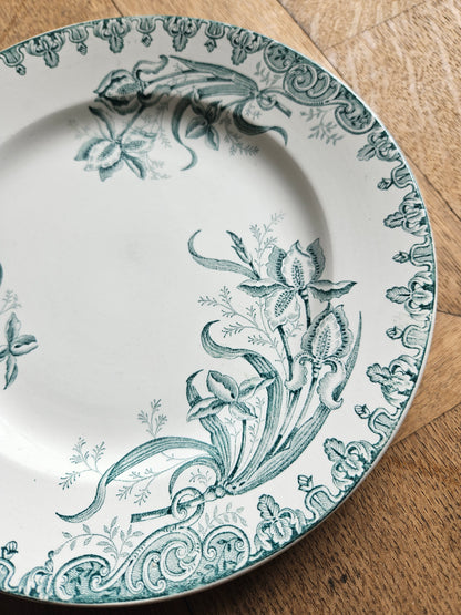 Assiette plate Sté Amandinoise, Iris