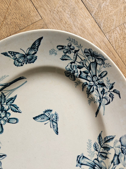 Plat ancien Badonviller Jasmin de Virginie terre de fer