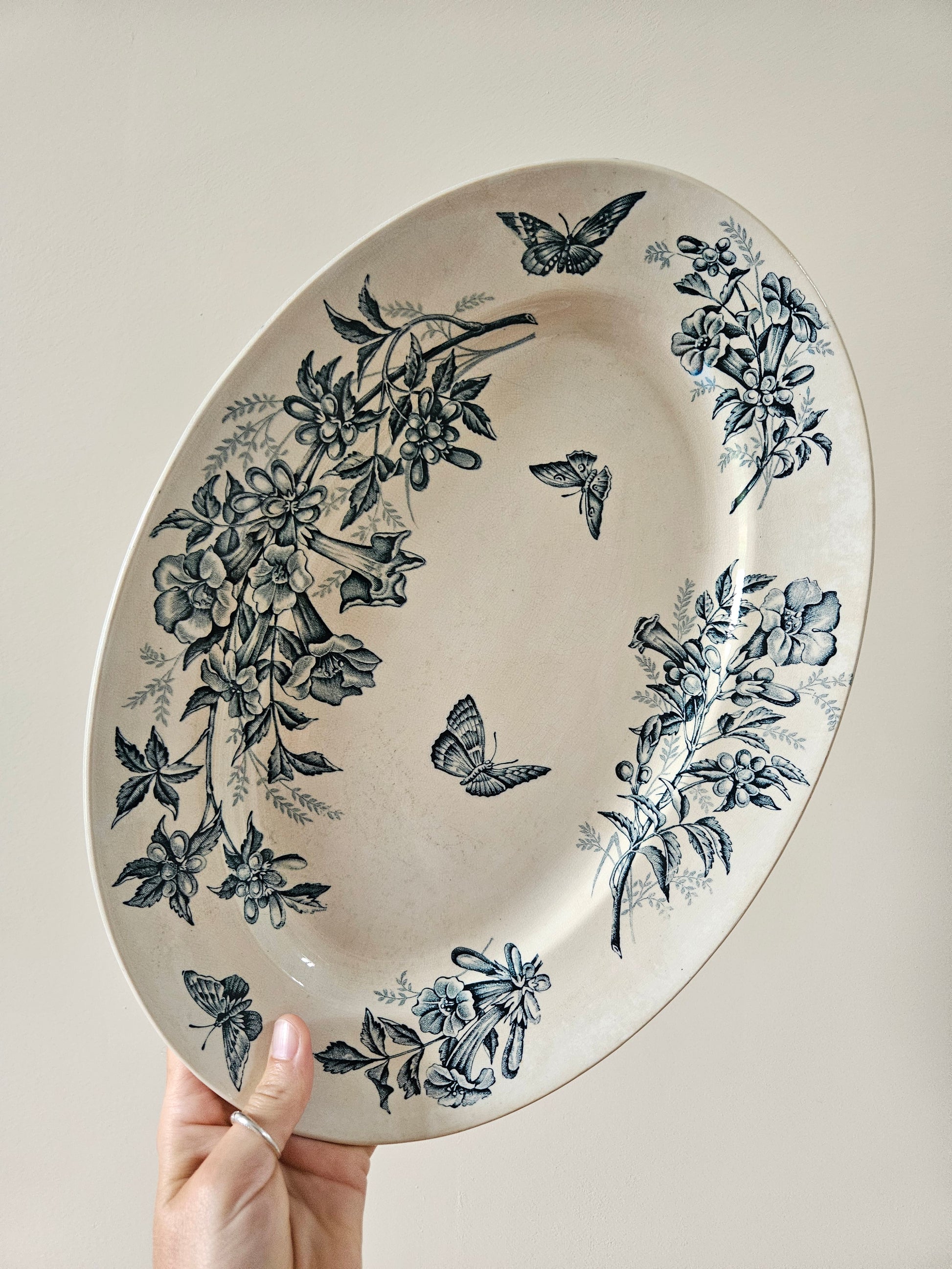 Plat ancien Badonviller Jasmin de Virginie terre de fer
