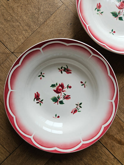 Assiettes creuses vintage dépareillées Digoin et Badonviller