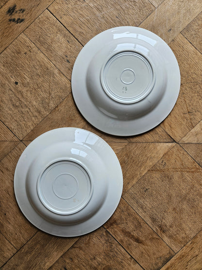 Assiettes creuses vintage dépareillées Digoin et Badonviller