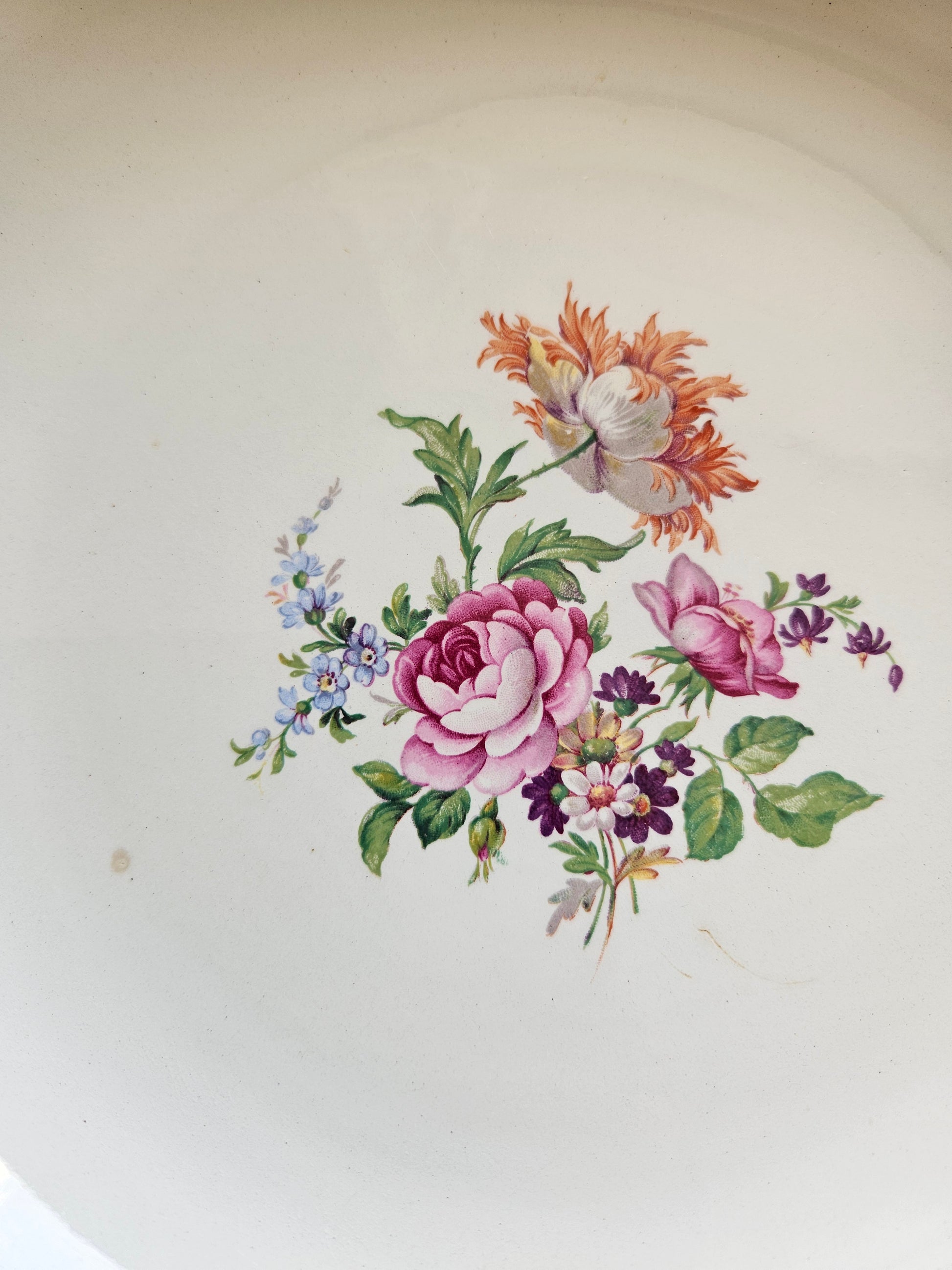Plat creux vintage Ceranord St Amand Chambord