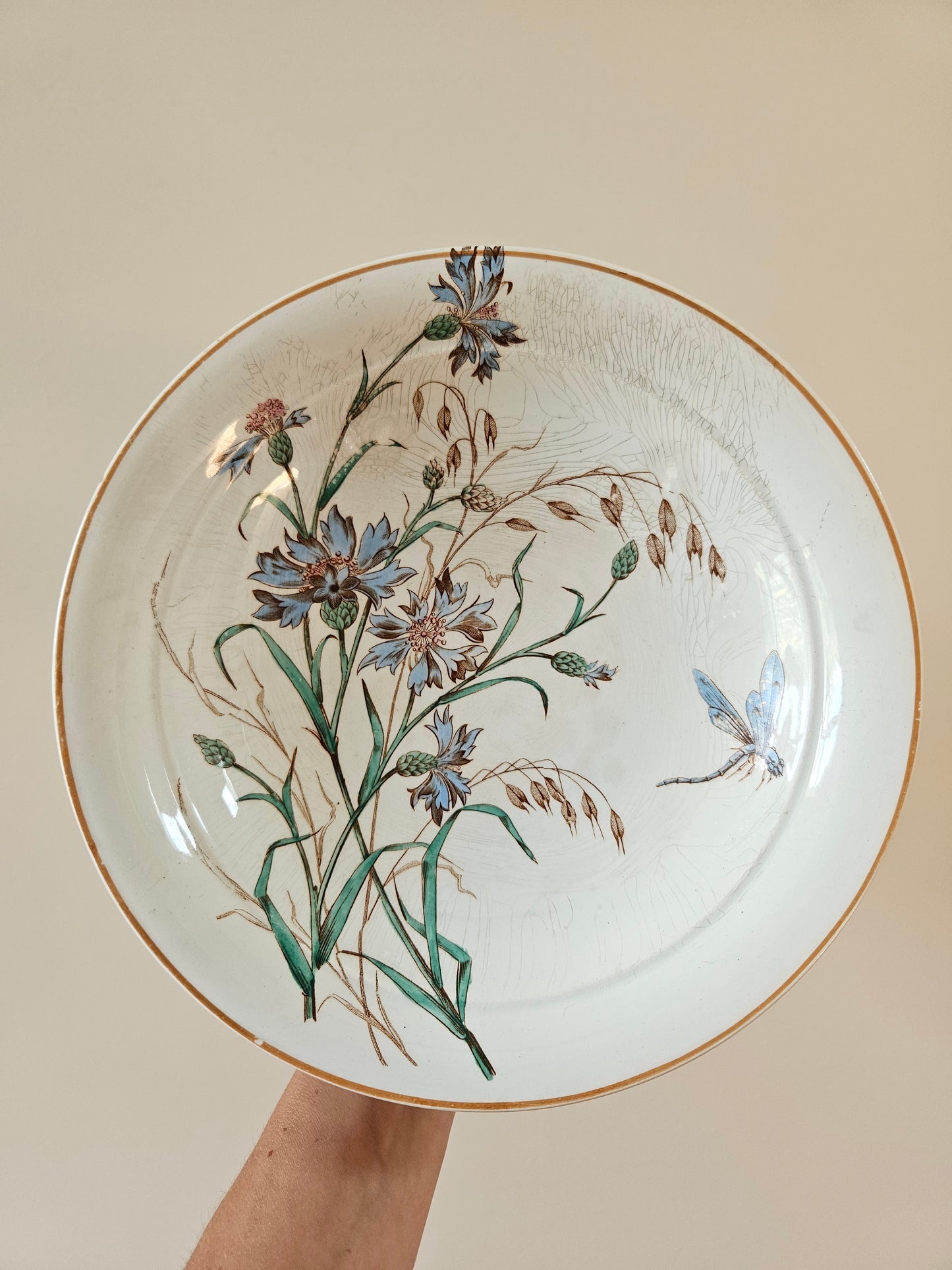 Assiette sur piedouche ancienne au décor polychrome de fleurs, libellules et papillons