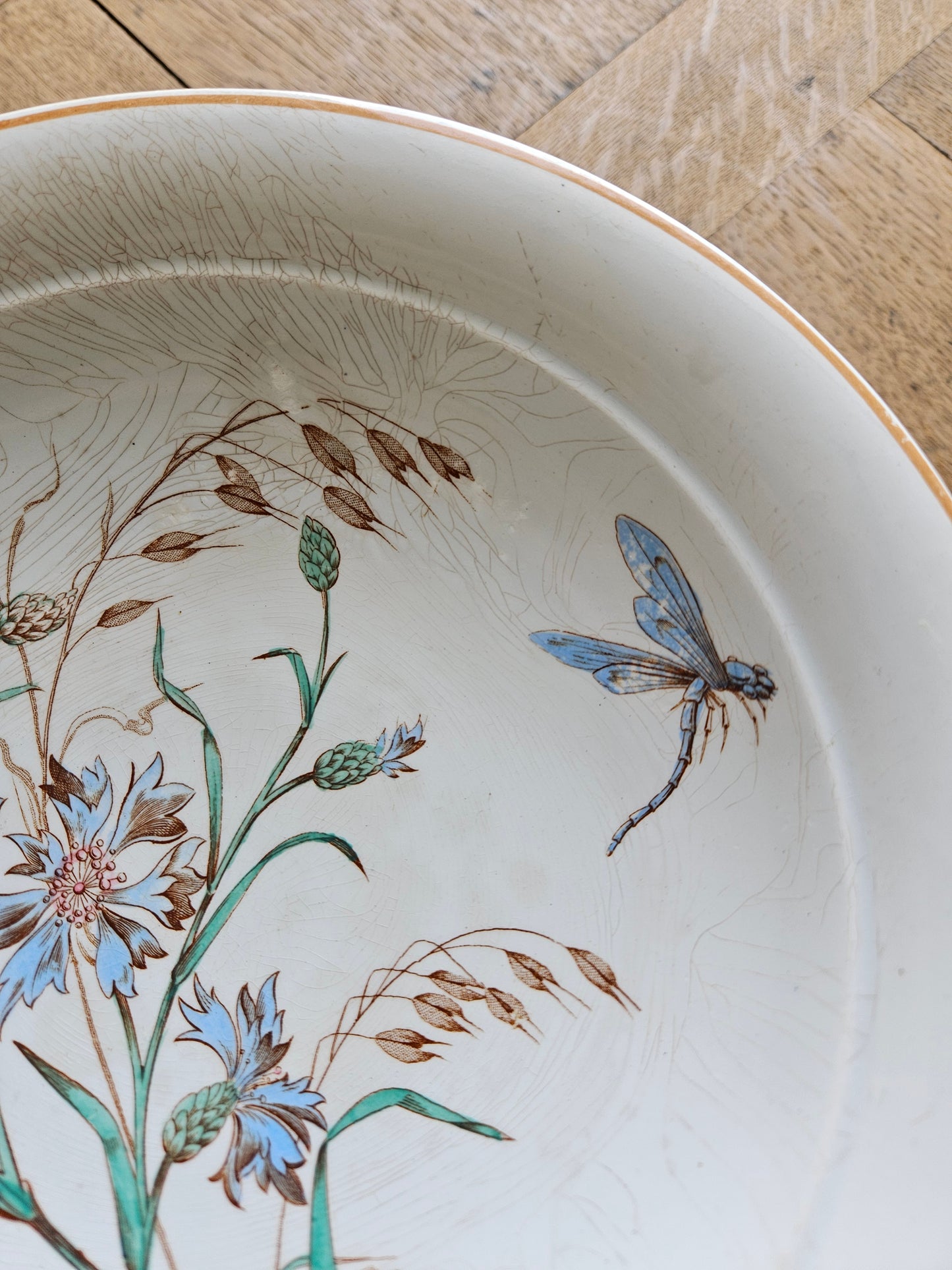 Libellule sur compotier ancien