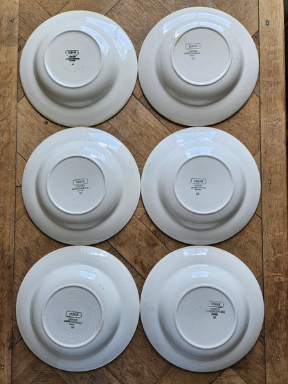 6 assiettes creuses rétro Digoin, Cibon