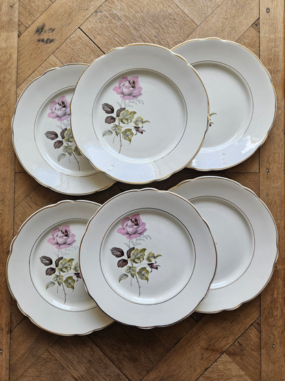 Assiettes plates K&G Lunéville Badonviller, Périgord 