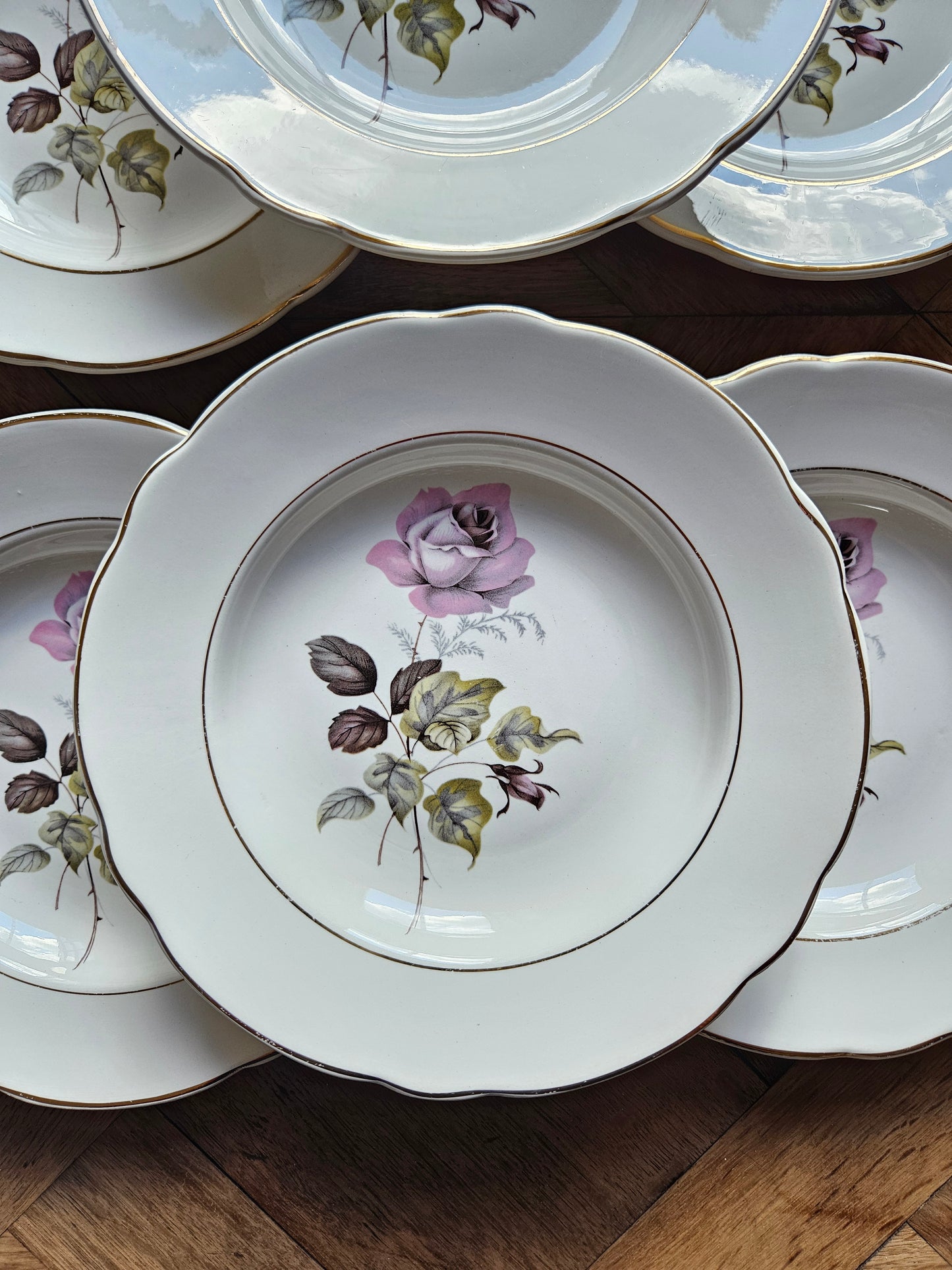 Zoom sur assiette creuse K&G Lunéville Badonviller, Périgord