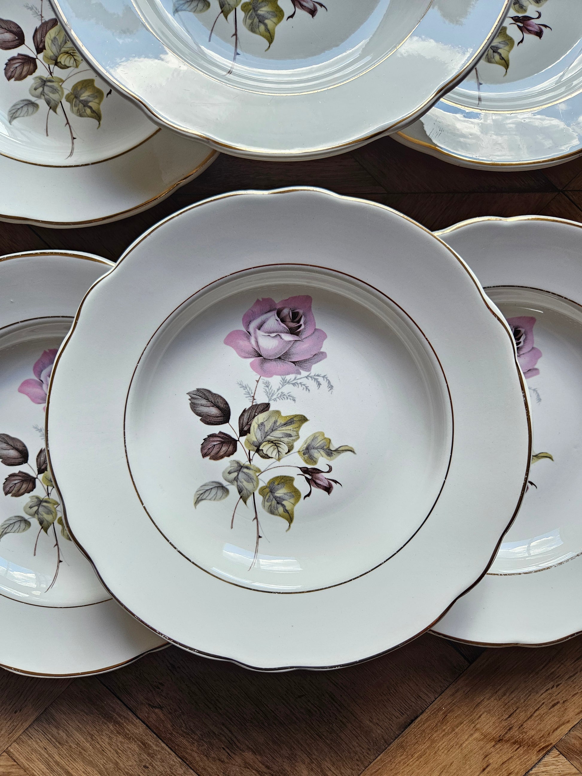 Zoom sur assiette creuse K&G Lunéville Badonviller, Périgord