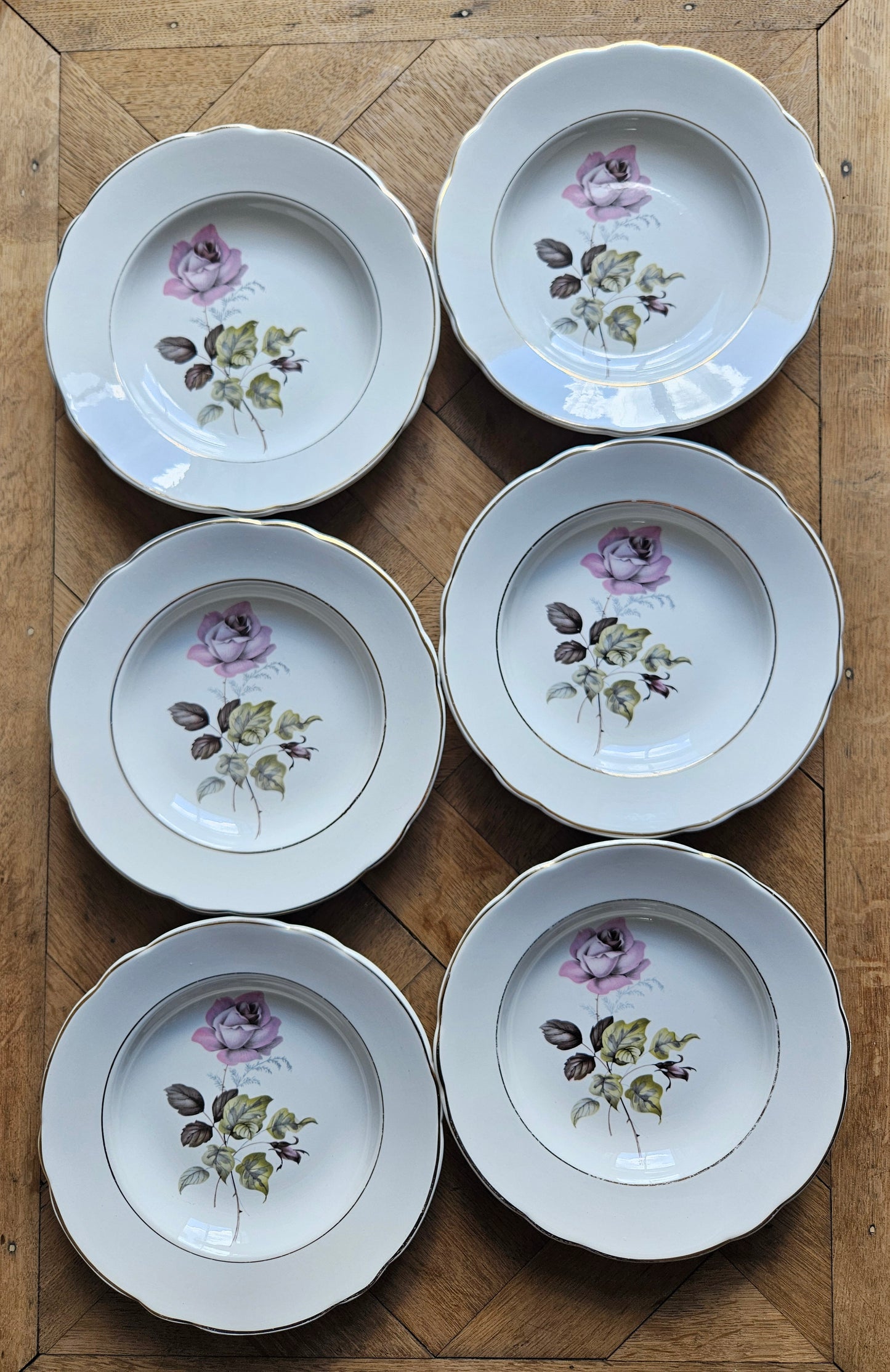 Lot de 6 assiettes creuses K&G Lunéville Badonviller, Périgord