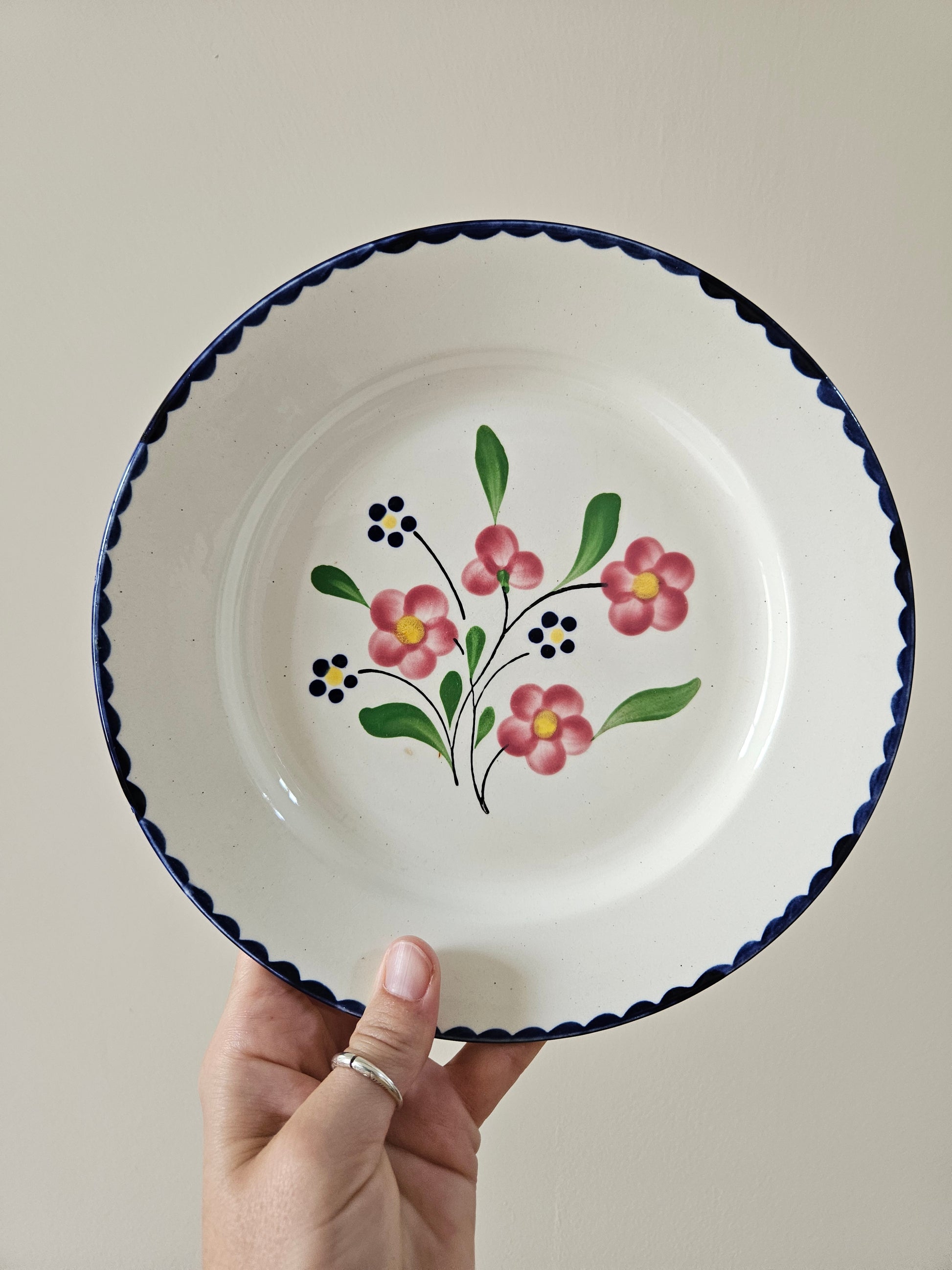 Assiette plate vintage Salins, Rosemonde. Décor peint à la main. 