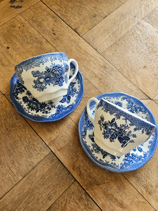 Lot de 2 grandes tasses vintage Wedgwood, Asiatic Pheasants