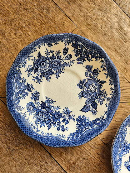 Tasses vintage Wedgwood, Asiatic Pheasants