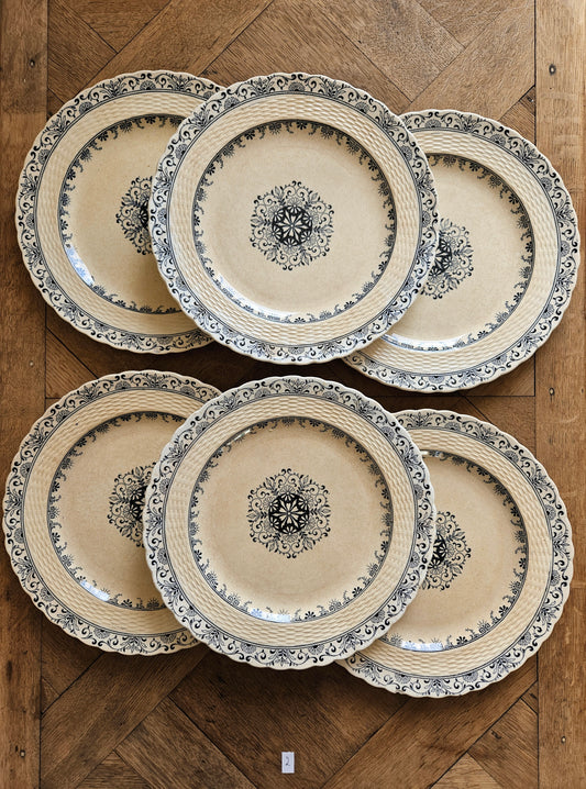 Lot de 6 assiettes plates anciennes Mintons, Kerry, patinées. Terre de fer.
