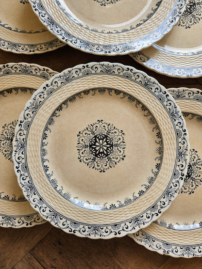 Assiettes plates anciennes Mintons, Kerry