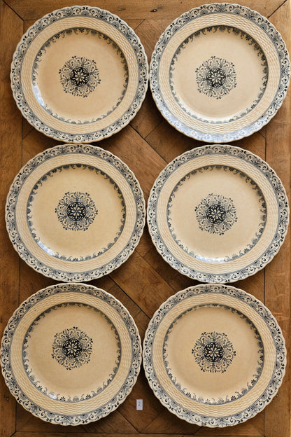 Lot de 6 assiettes plates anciennes Mintons, Kerry. Terre de fer.
