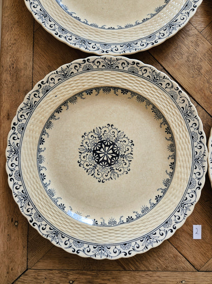 Assiettes plates anciennes Mintons, Kerry #2