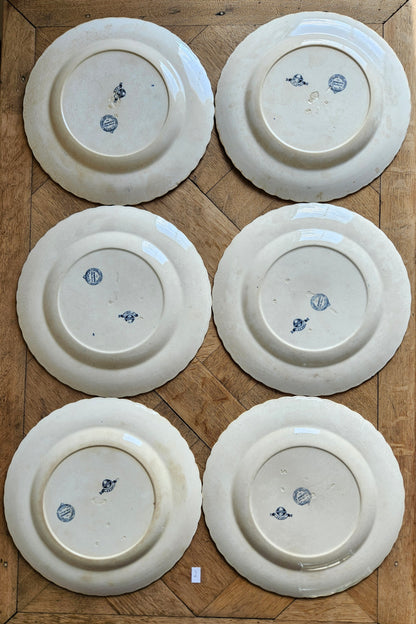 Assiettes plates anciennes Mintons, Kerry #2