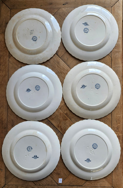 Lot de 6 assiettes plates anciennes Mintons, Kerry. Terre de fer. Patinées. 