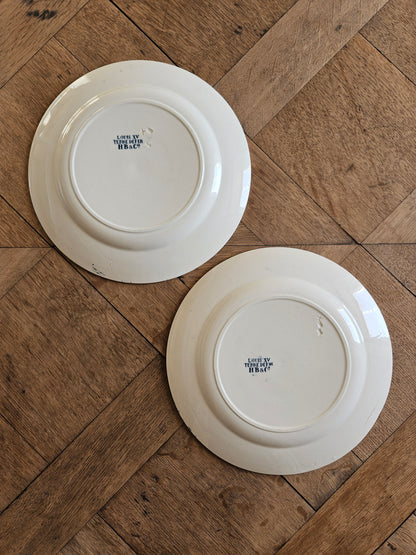 Assiettes plates anciennes dépareillées, Terre de Fer