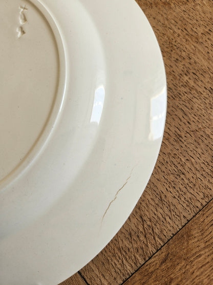 Assiettes plates anciennes dépareillées, Terre de Fer