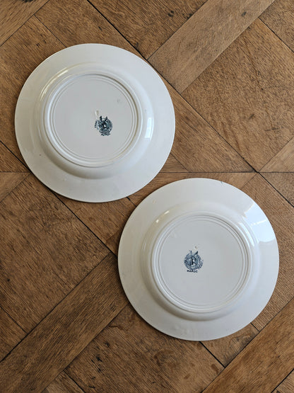 Assiettes plates anciennes dépareillées, Terre de Fer