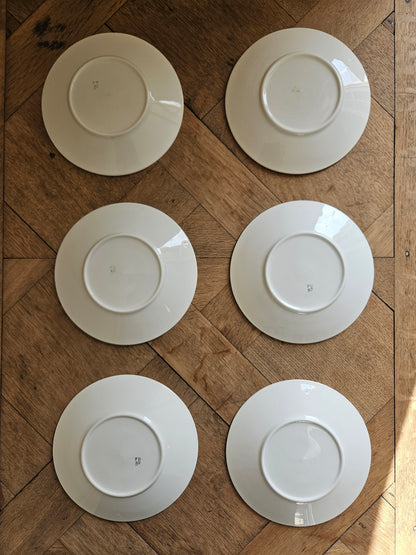 Tasses Badonviller à carreaux verts