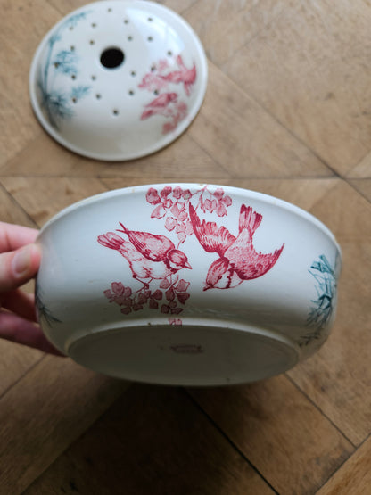 Porte éponge ancien Longwy, Oiseaux