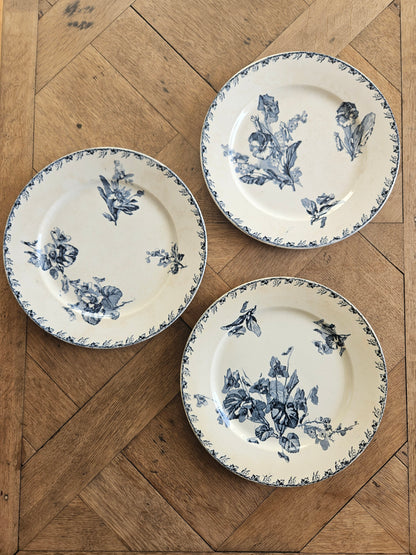 Assiettes plates U&C Sarreguemines, Stella #2