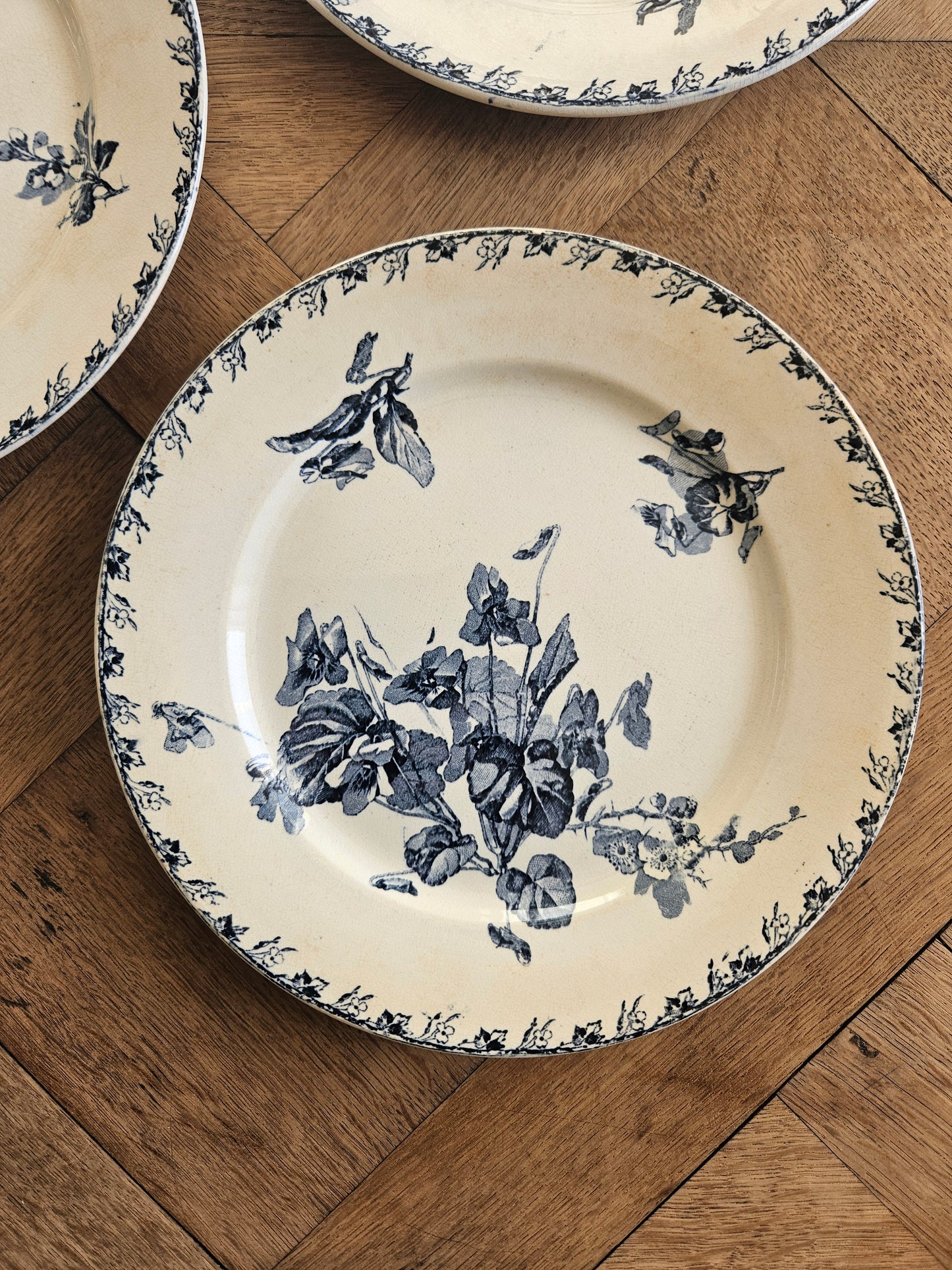 Assiettes plates U&C Sarreguemines, Stella #2