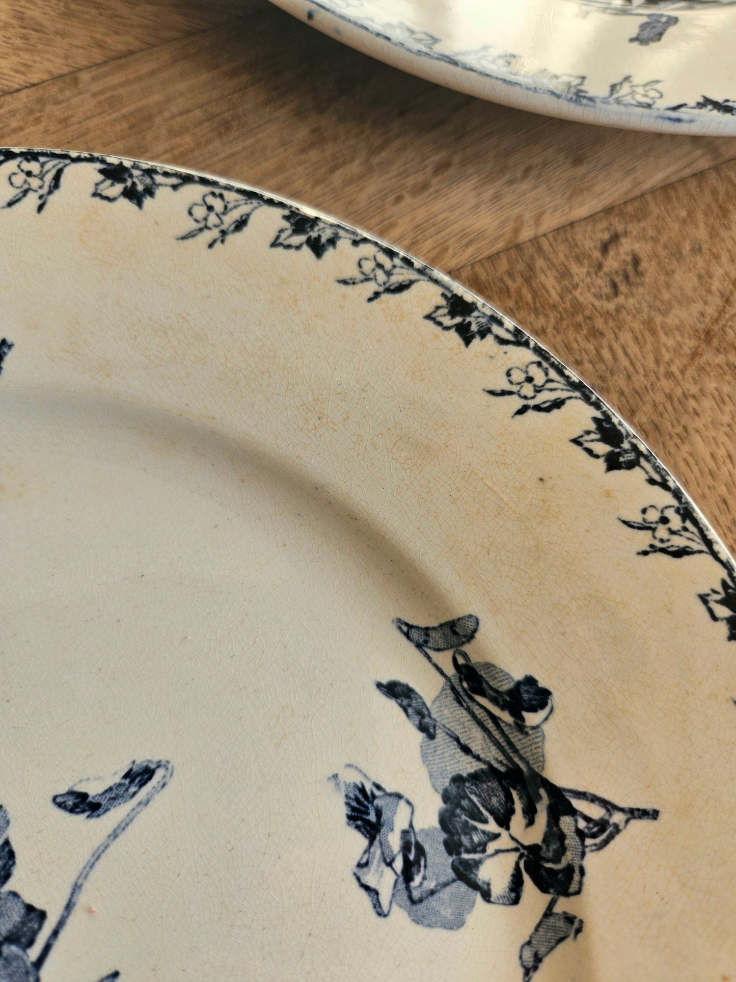 Assiettes plates U&C Sarreguemines, Stella #2