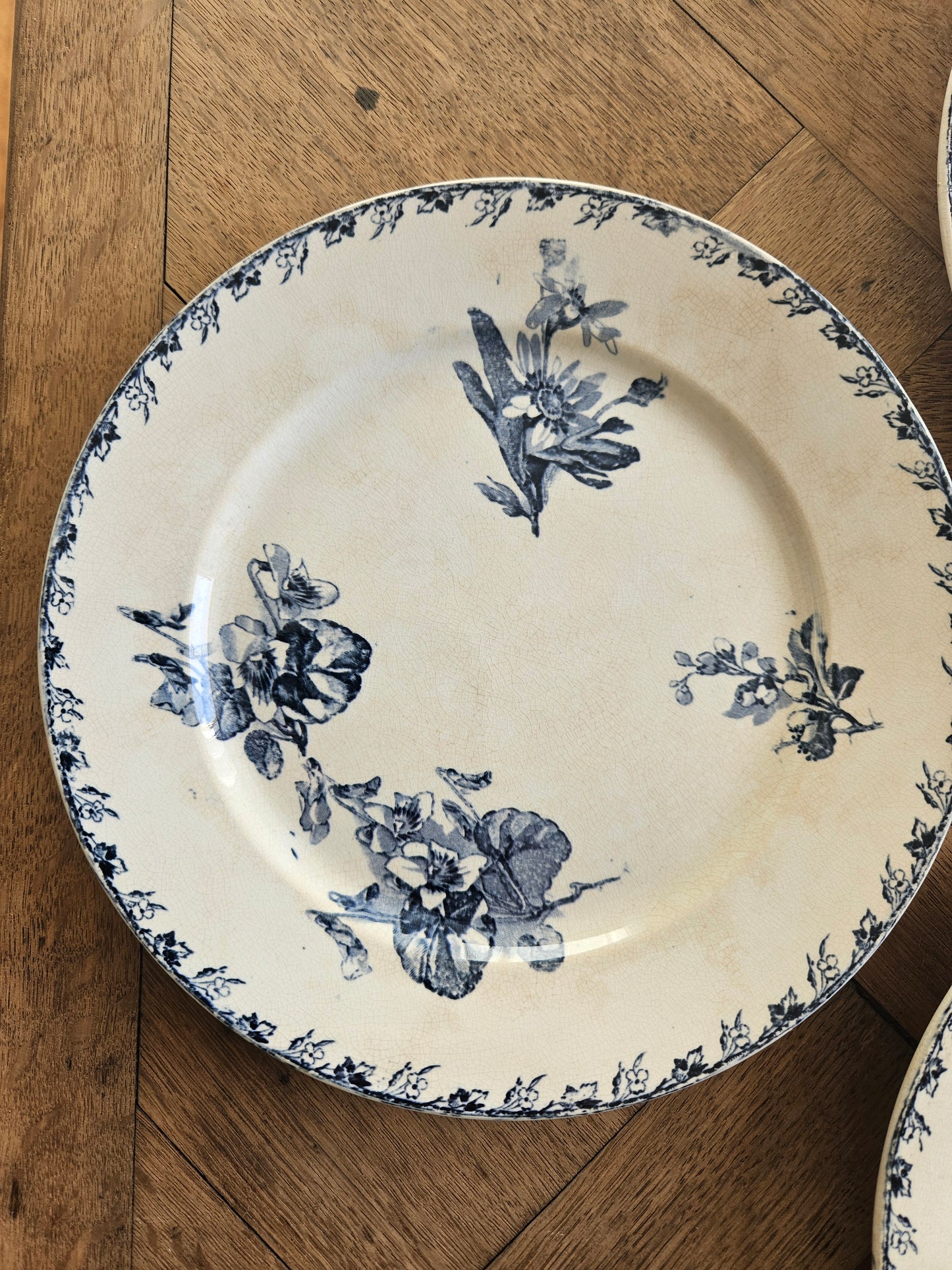 Assiettes plates U&C Sarreguemines, Stella #2