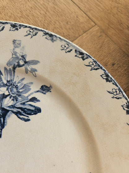 Assiettes plates U&C Sarreguemines, Stella #2