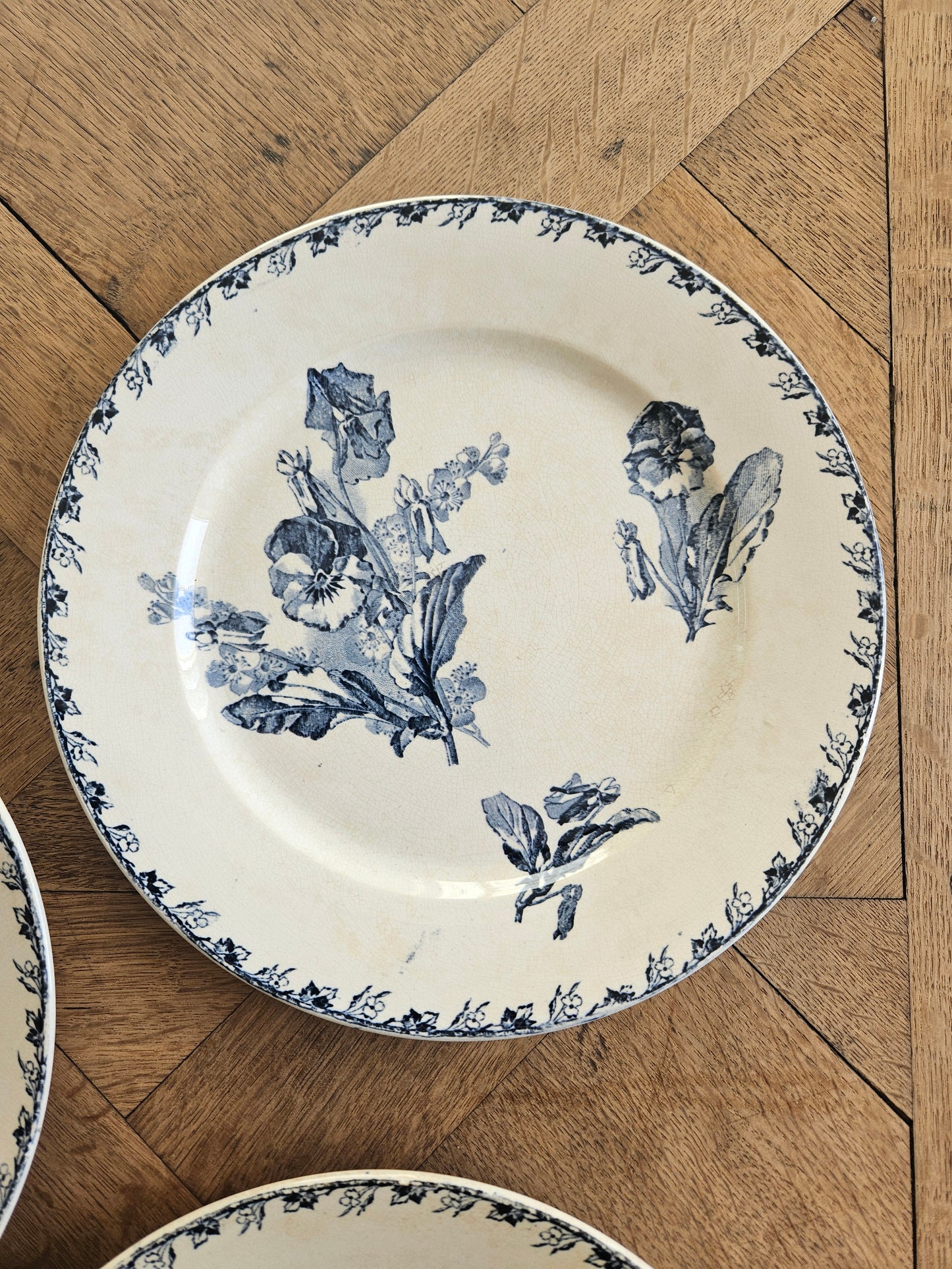 Assiettes plates U&C Sarreguemines, Stella #2