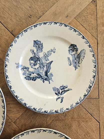 Assiettes plates U&C Sarreguemines, Stella #2