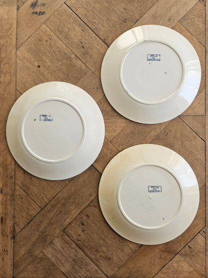 Assiettes plates U&C Sarreguemines, Stella #2