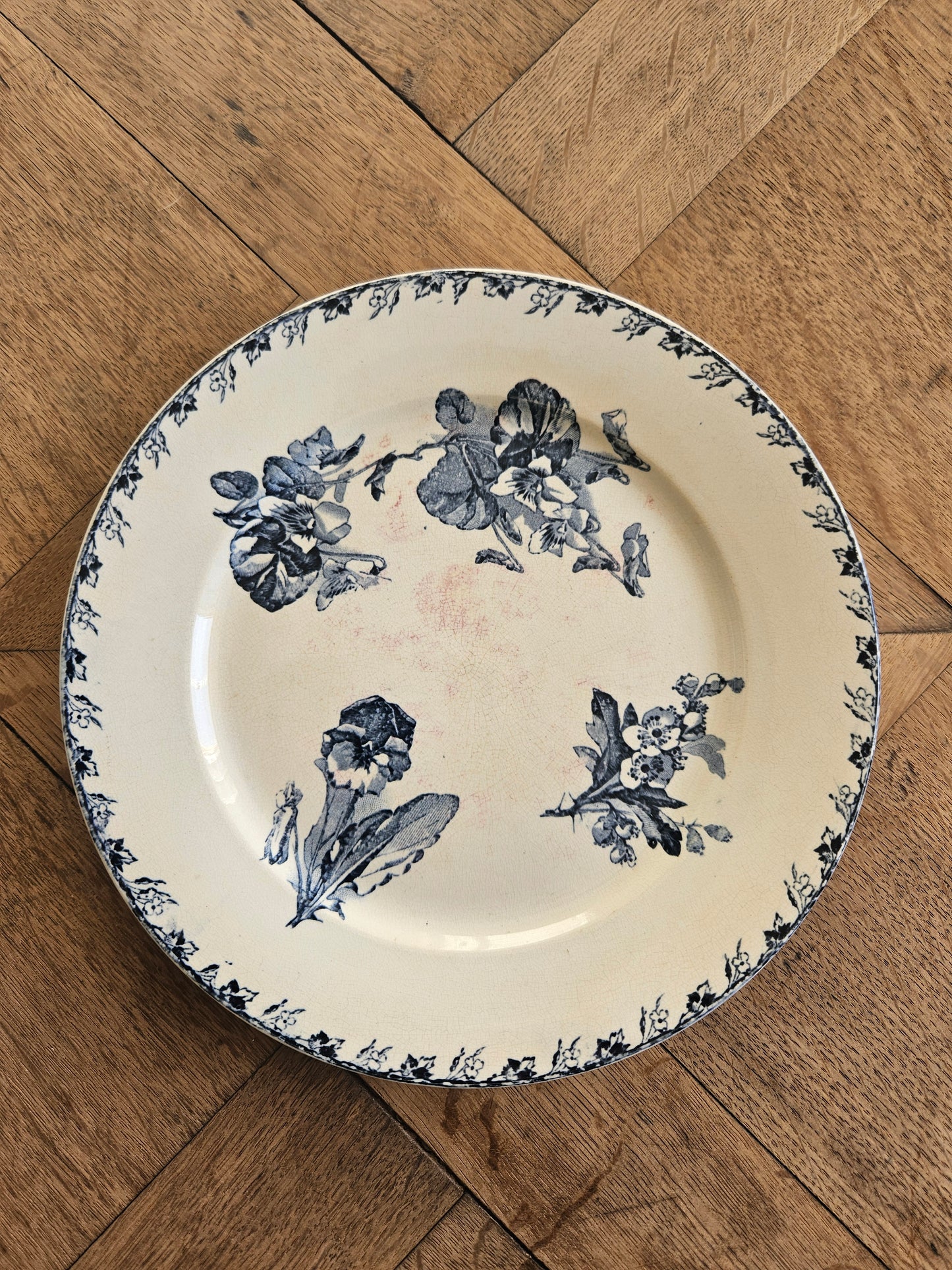 Assiettes plates U&C Sarreguemines, Stella #2