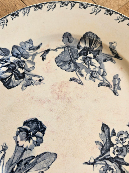 Assiettes plates U&C Sarreguemines, Stella #2