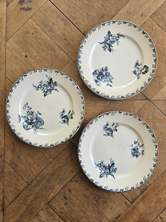 Assiettes à dessert U&C Sarreguemines, Stella #2