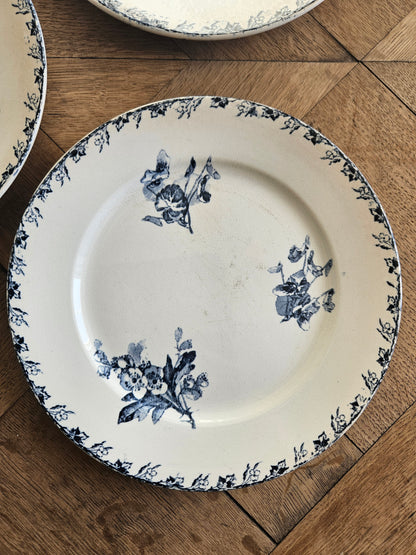 Assiettes à dessert U&C Sarreguemines, Stella #2